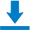 Download Icon